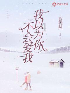 波斯王子2