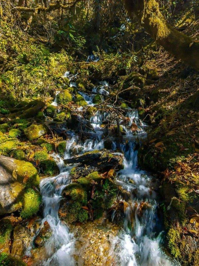 大连天气:阳光连续在岗 气温不断走高